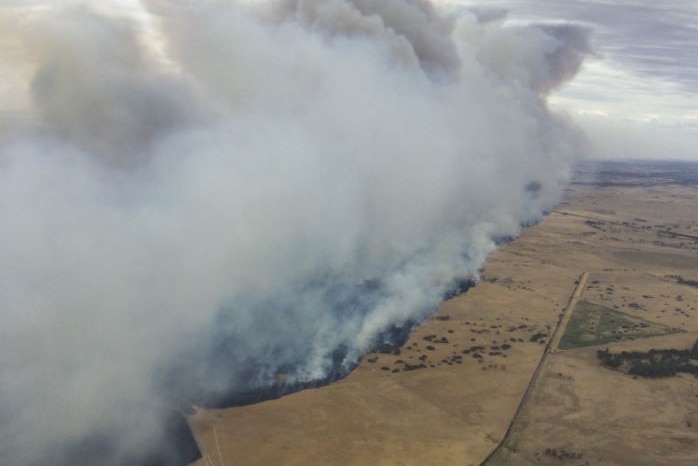 Smoke about the Lucindale grass fire