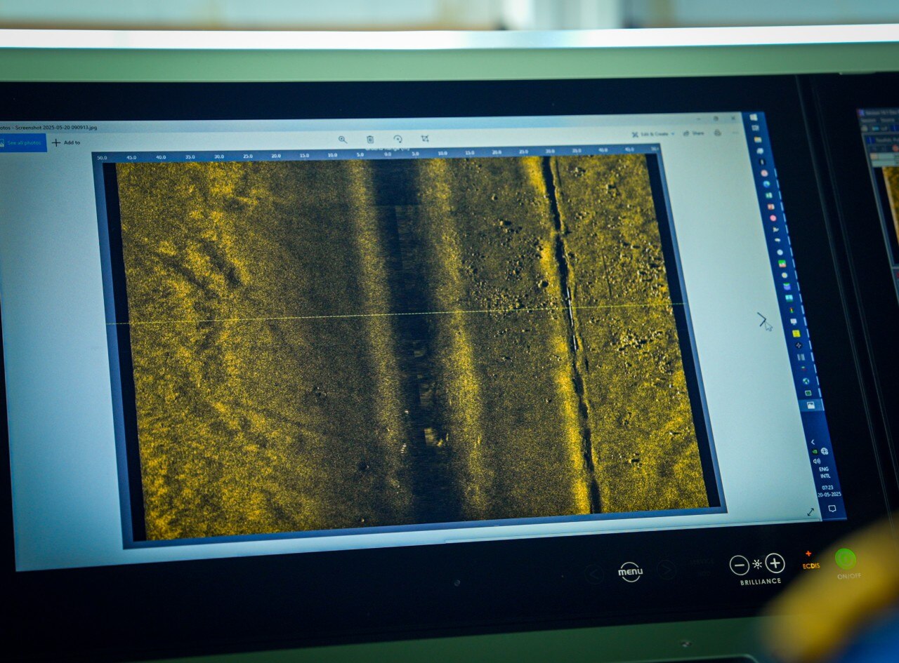 A grainy image seen on a computer screen