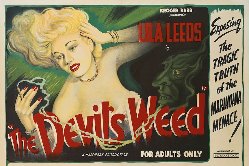 Devil's Weed