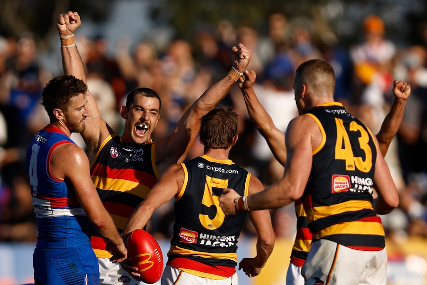 Taylor Walker and Crows teammates hold their arms up as Marcus Bontempelli look disappointed