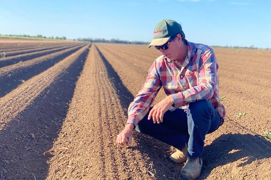 Farmer squats in a field inspecting the dirt where his cotton crop will be planted.