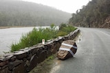 A boulder on the side of the Tasman Highway