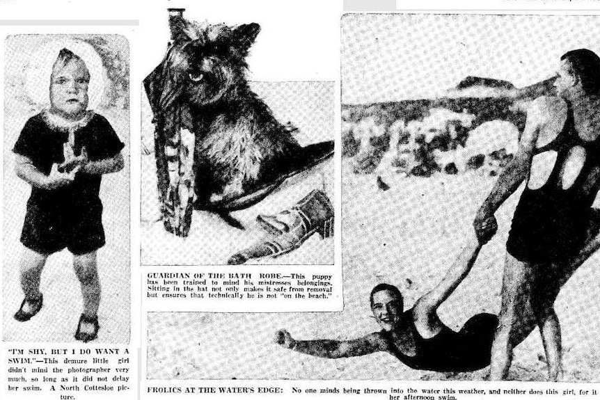 A cute scruffy dog minds its owner's hat at Cottesloe beach in 1933.