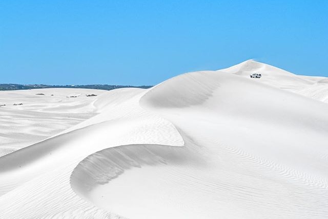 A ridgeline of sand dunes meets a clear blue sky