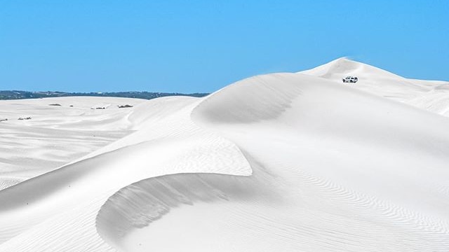 A ridgeline of sand dunes meets a clear blue sky
