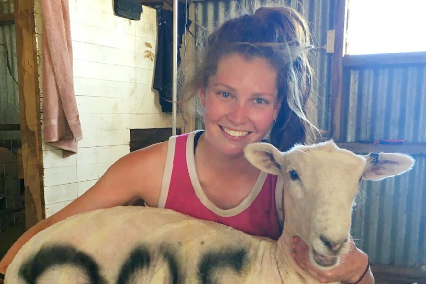Riverina shearer Nicki Guttler when she hit her highest tally of shearing 205 crossbred lambs in a day.