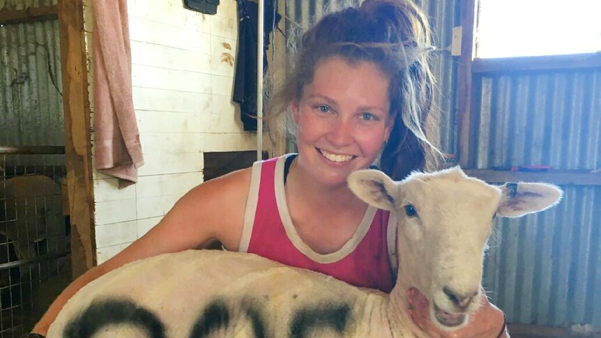 Riverina shearer Nicki Guttler when she hit her highest tally of shearing 205 crossbred lambs in a day.