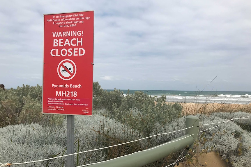 A red sign erected on Pyramids Beach warning the beach has been closed due to a shark attack.