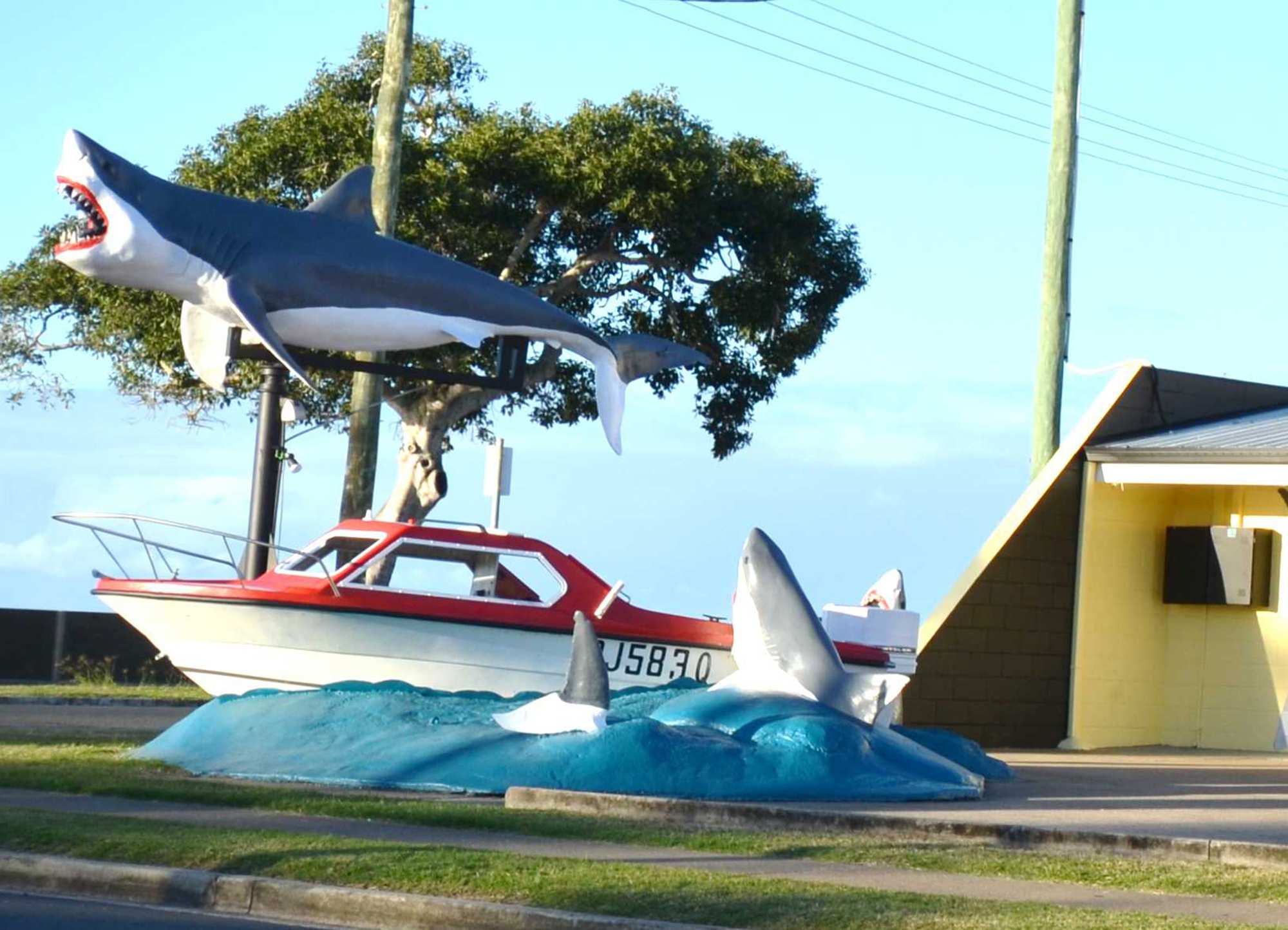 Hervey Bay Sharks Get New Home Wooden Teeth After Vandal Attack Abc News