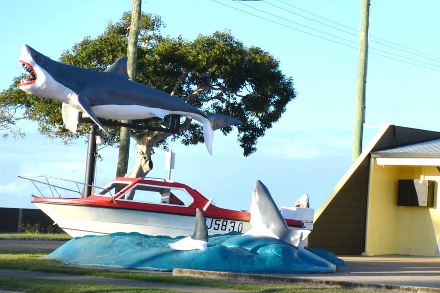 Hervey Bay shark display