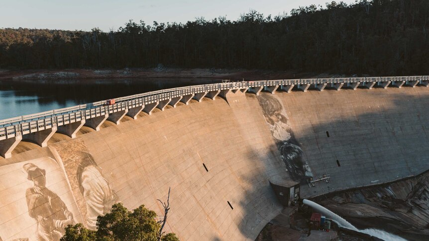 A massive mural is being painted across a dam wall surrounded by trees