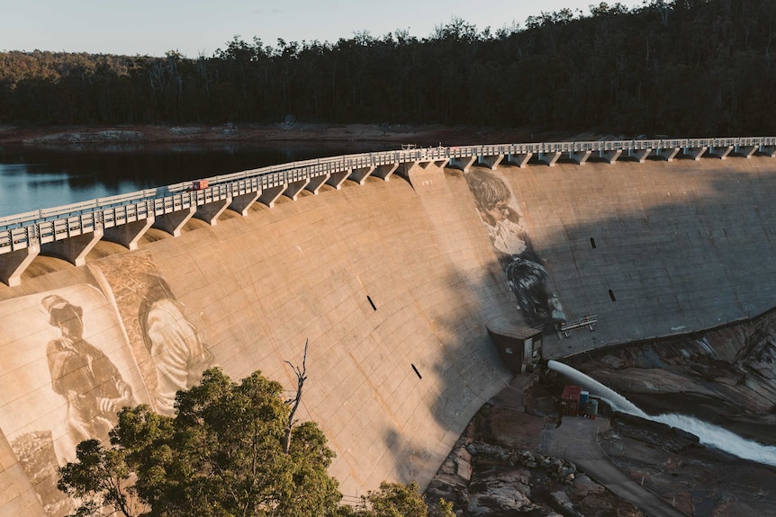 A massive mural is being painted across a dam wall surrounded by trees