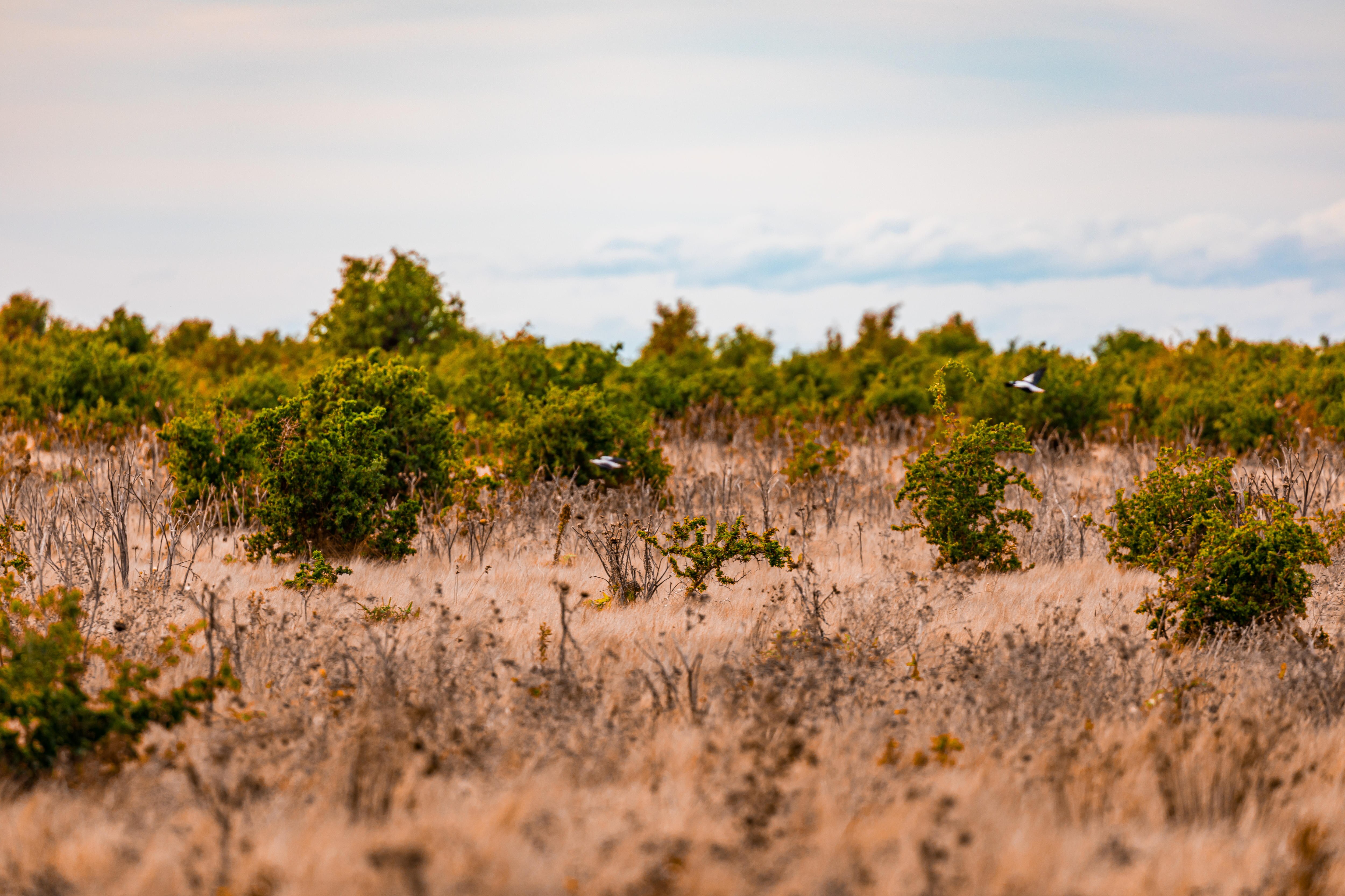 Victorian government ordered to pay property developers 92m