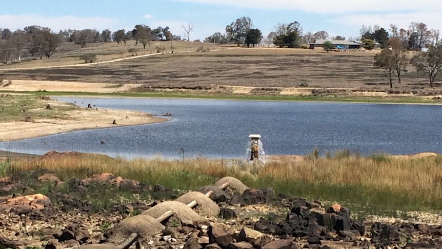 The Tenterfield dam only has around 15 to 16 per cent usable water remaining.