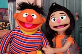 Puppets from the popular children's television program Sesame Street.