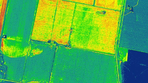 Green and yellow and spots of red mark variations in a crop