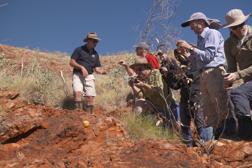A group of seven scientists in an outback range pointing cameras at the ground.