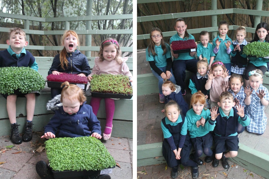 School kids with herbs.