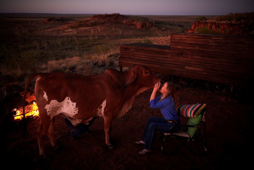 Stephanie Coombes lovingly kisses pet cow Anzac at the Yougawalla homestead