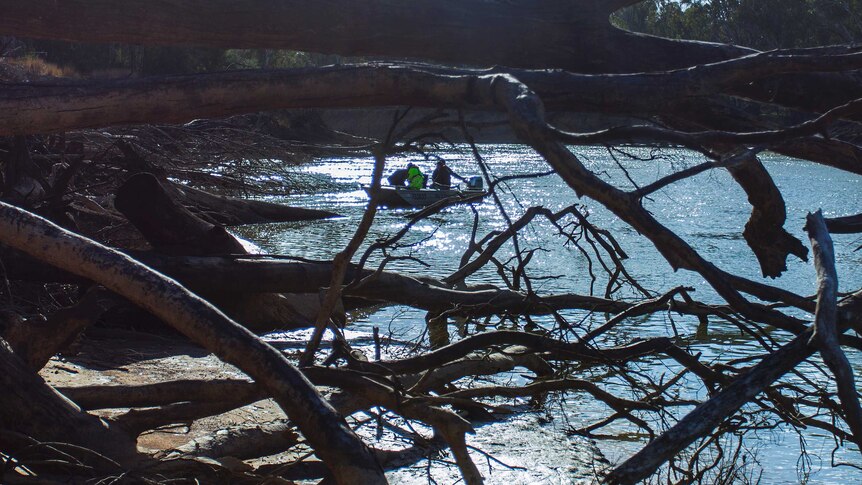 A group of men in a small metal boat, on a section of river where dead trees hang into the water.