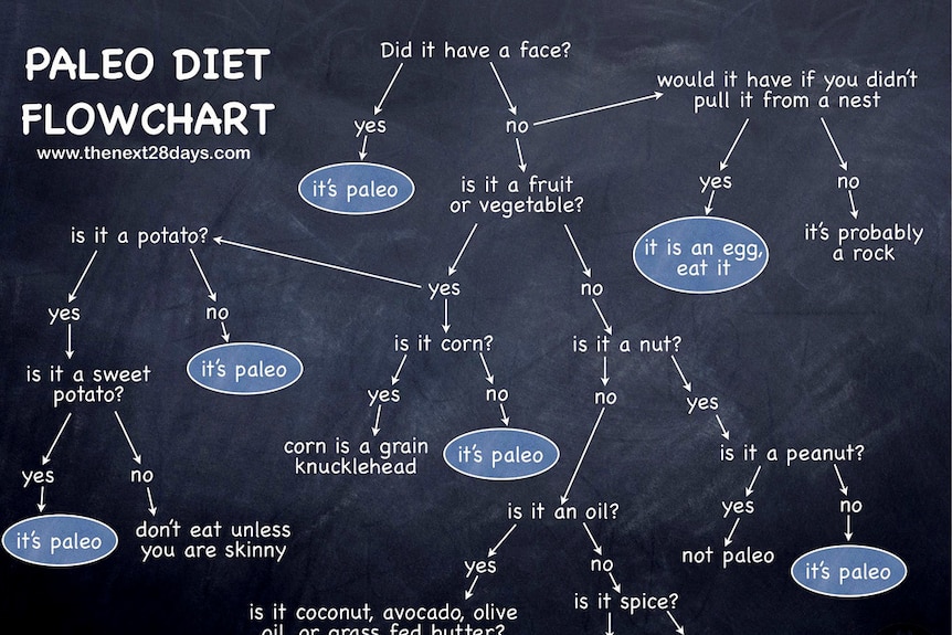 Paleo Diet diagram