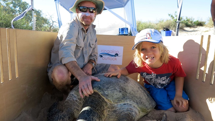 Scientist and child with large turtle