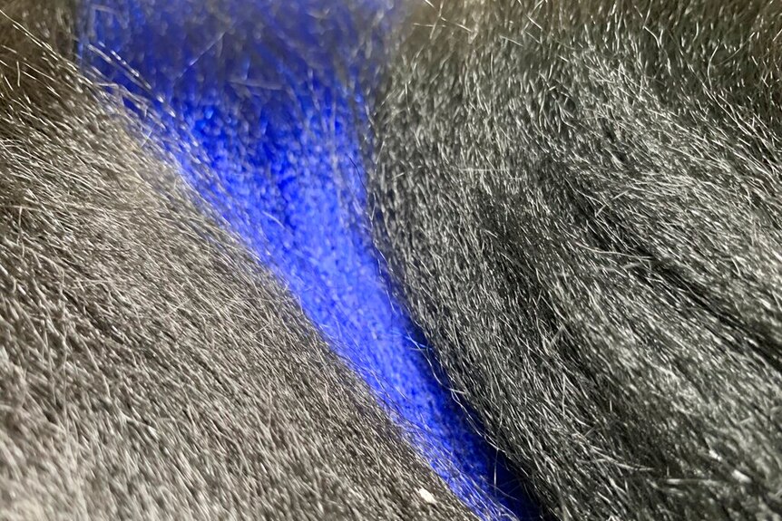 Close up image of hair weaves.