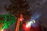Coloured lights illuminate a large tree in front of a starry night sky.