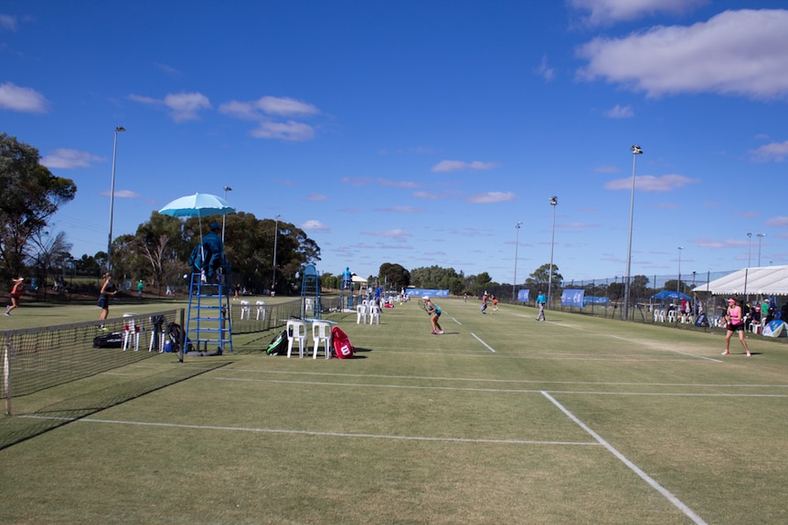 Tennis matches being played on grass courts at Berri.