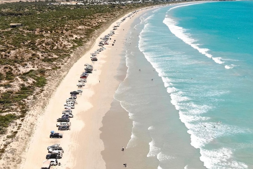 A beach lined with cars parked on the sand.