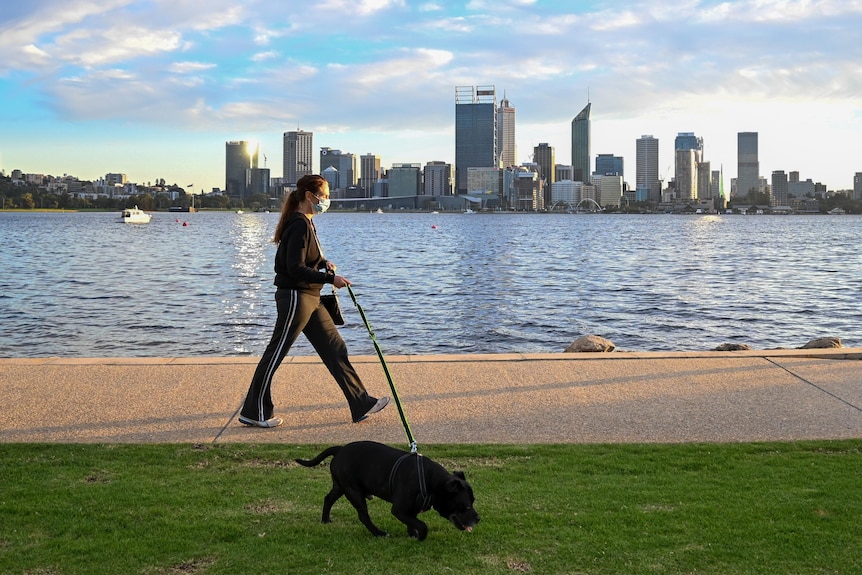 A woman wearing a mask dressed in black walks with a black dog with the Perth city skyline in the background.