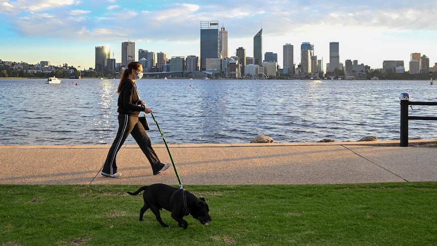 Woman wearing mask dressed in black walks with black dog with Perth city skyline in background. 