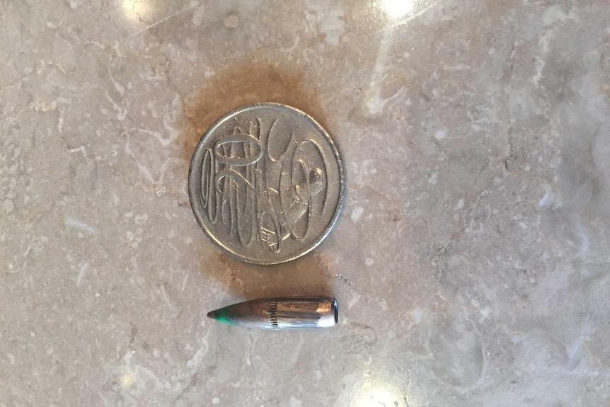 The bullet removed from Adam Harvey's neck