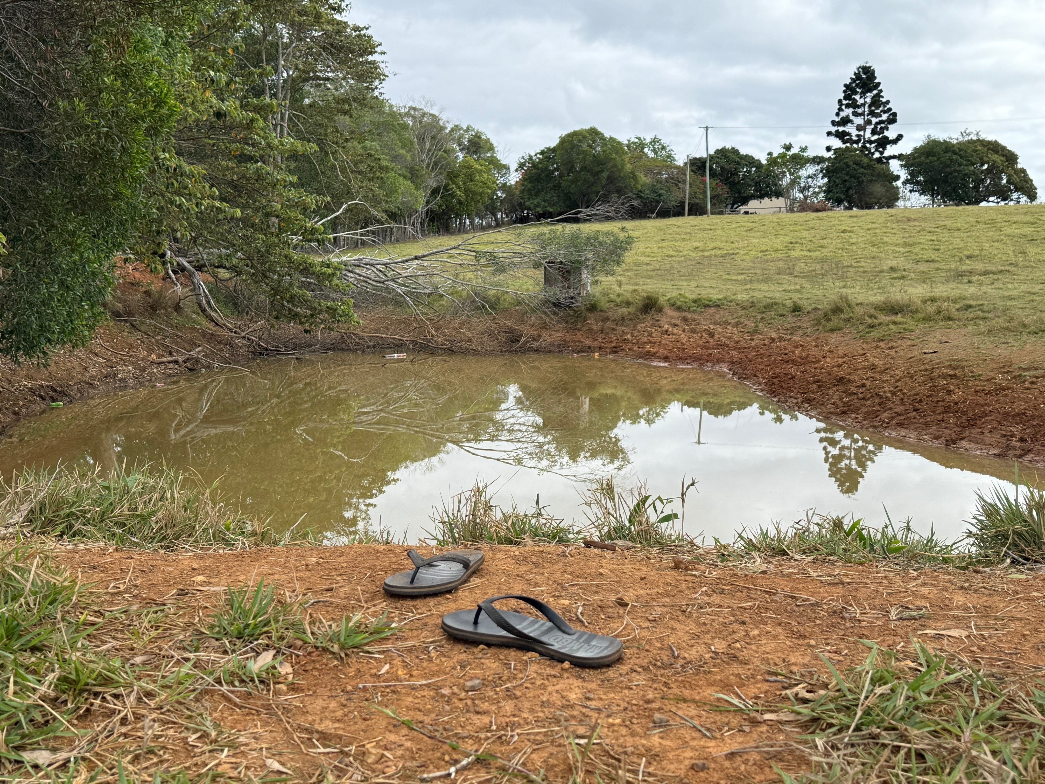 A pair of thongs on the bank of a small dam