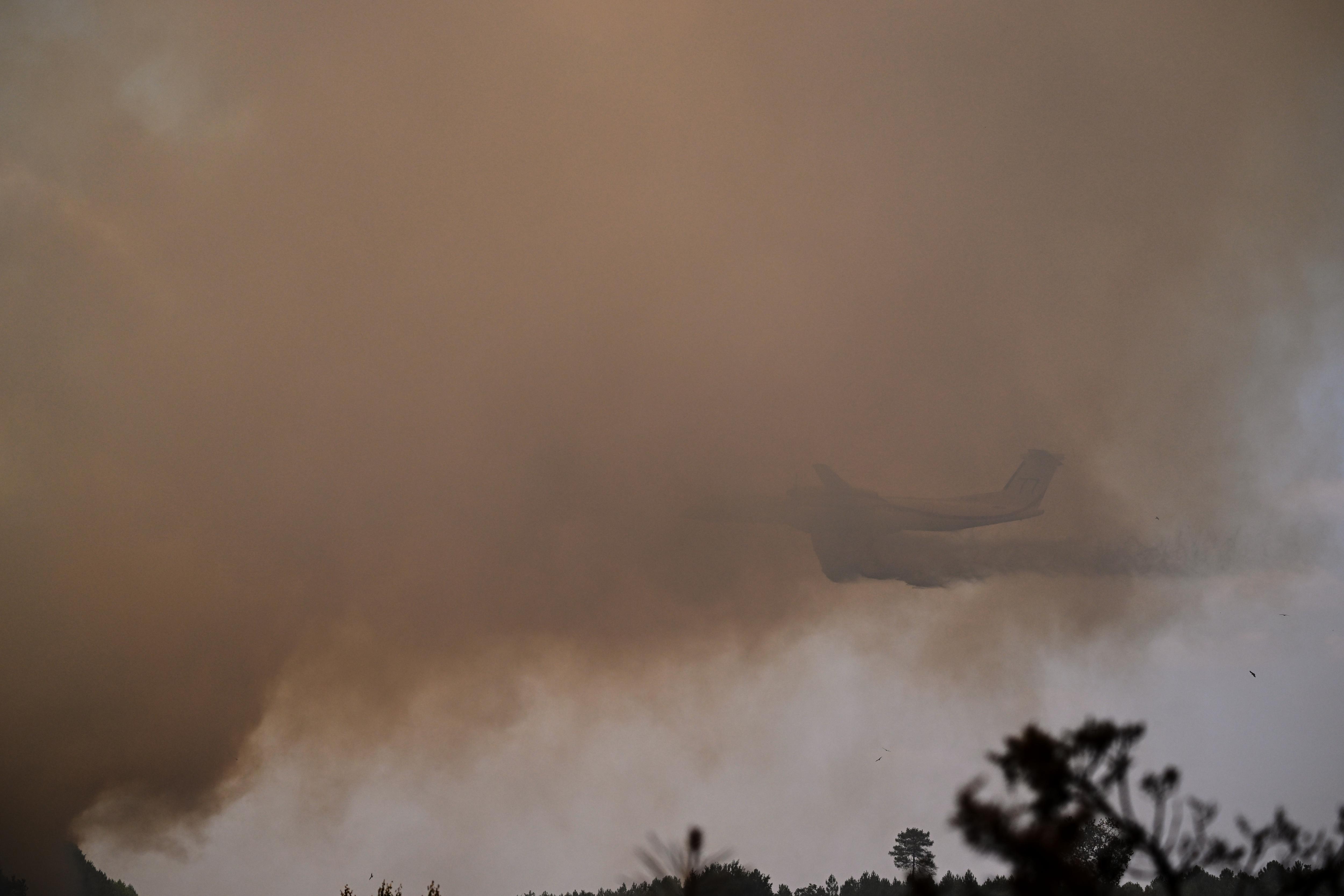 A plane flies through heavy smoke just above a tree line.