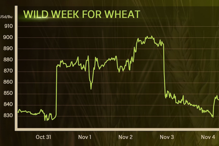 Wild week for wheat