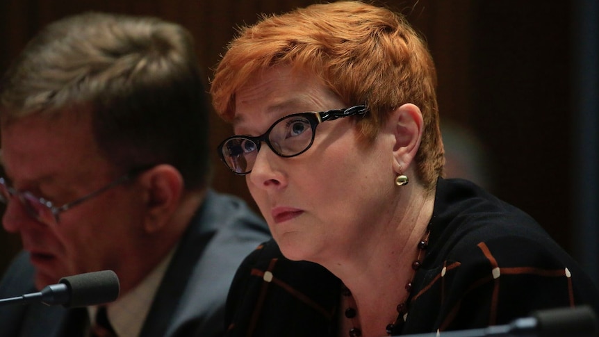 Defence Minister Marise Payne looks up from underneath her black framed glasses in estimates