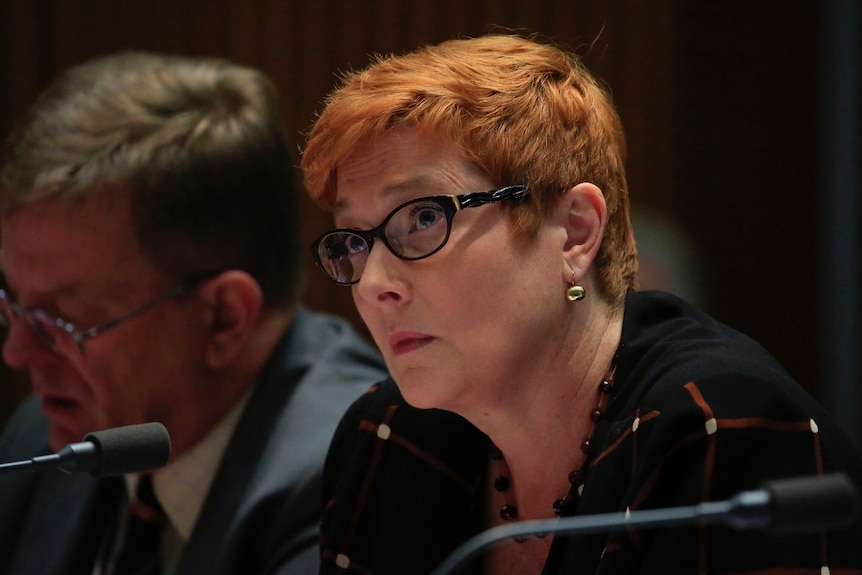 Defence Minister Maris Payne looks up from underneath her black framed glasses in estimates