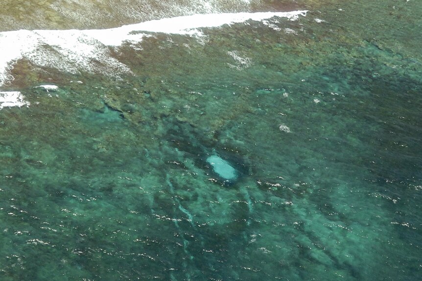 An aerial shot of a hole in the reef made by the ship