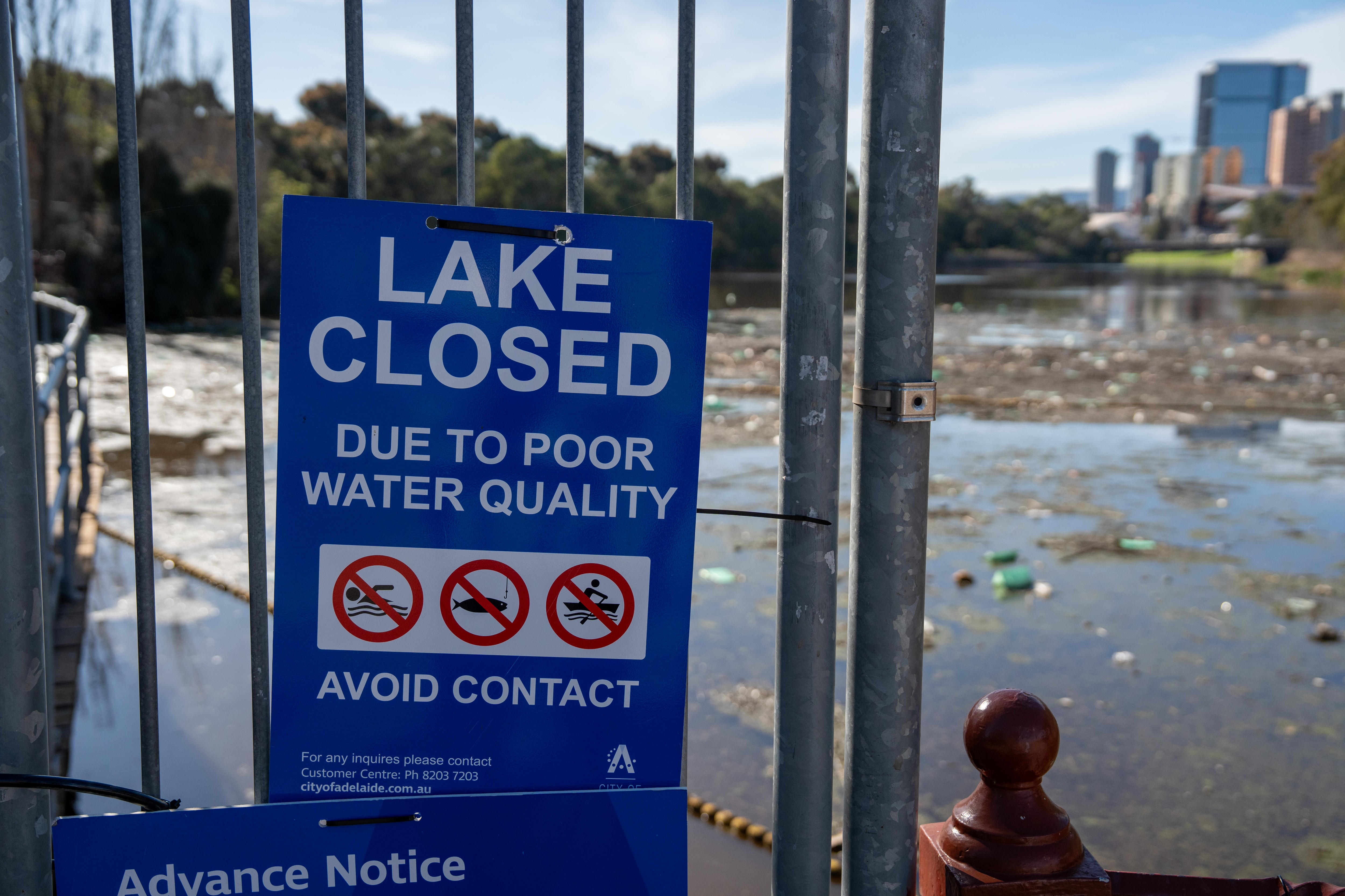 Can tiny bubbles restore health to the Torrens lake?