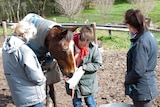 Mary Harrison, Jag the horse, Emma Crawford Chandler and Sophie Harrison.