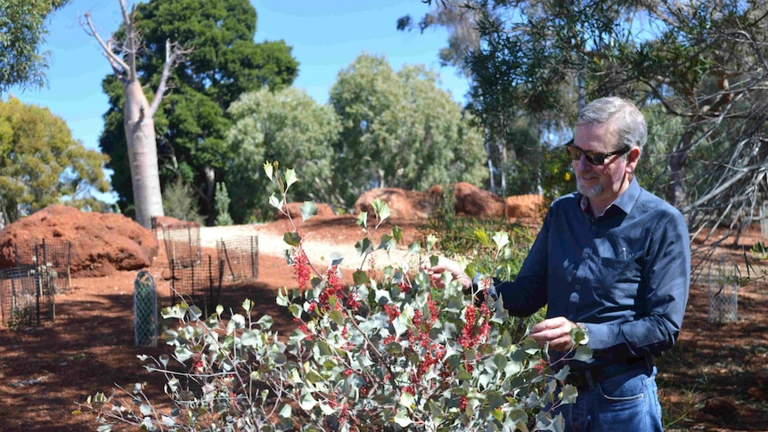 Dr Peter Cuneo, head of the Plant Bank at the Australian Botanic Gardens Mount Annan in Sydney's west.