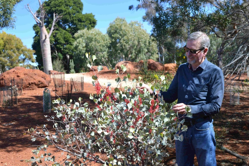Dr Peter Cuneo, head of the Plant Bank at the Australian Botanic Gardens Mount Annan in Sydney's west.