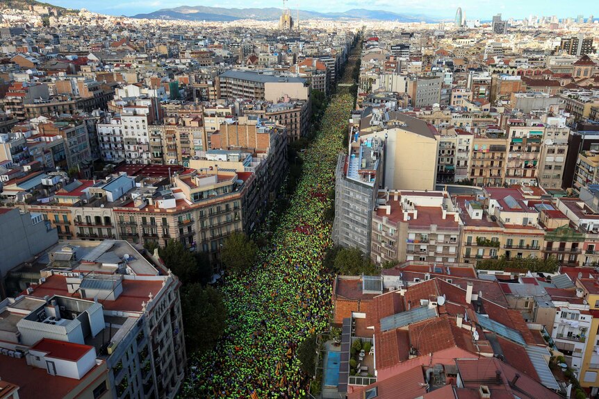 An aerial view shows thousands of people lining a boulevard wearing green t-shirts.