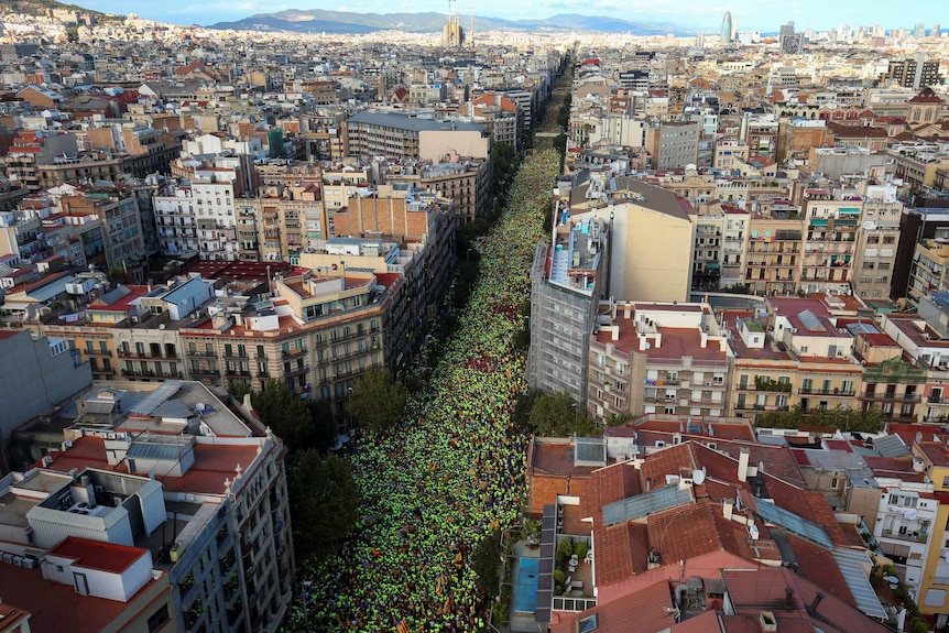 An aerial view shows thousands of people lining a boulevard wearing green t-shirts.