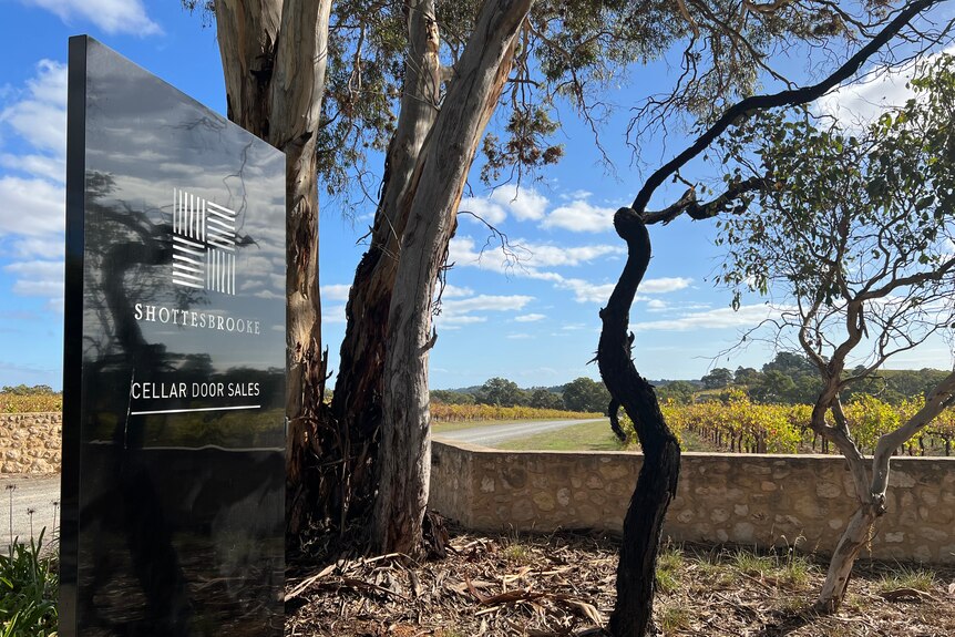 A large glossy black sign stands next to gum trees and a low brick wall on a sunny day
