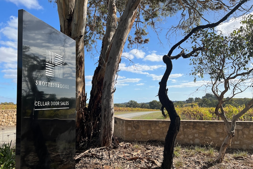 A large glossy black sign stands next to gum trees and a low brick wall on a sunny day