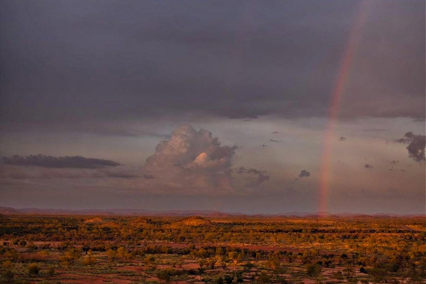 An outback landscape