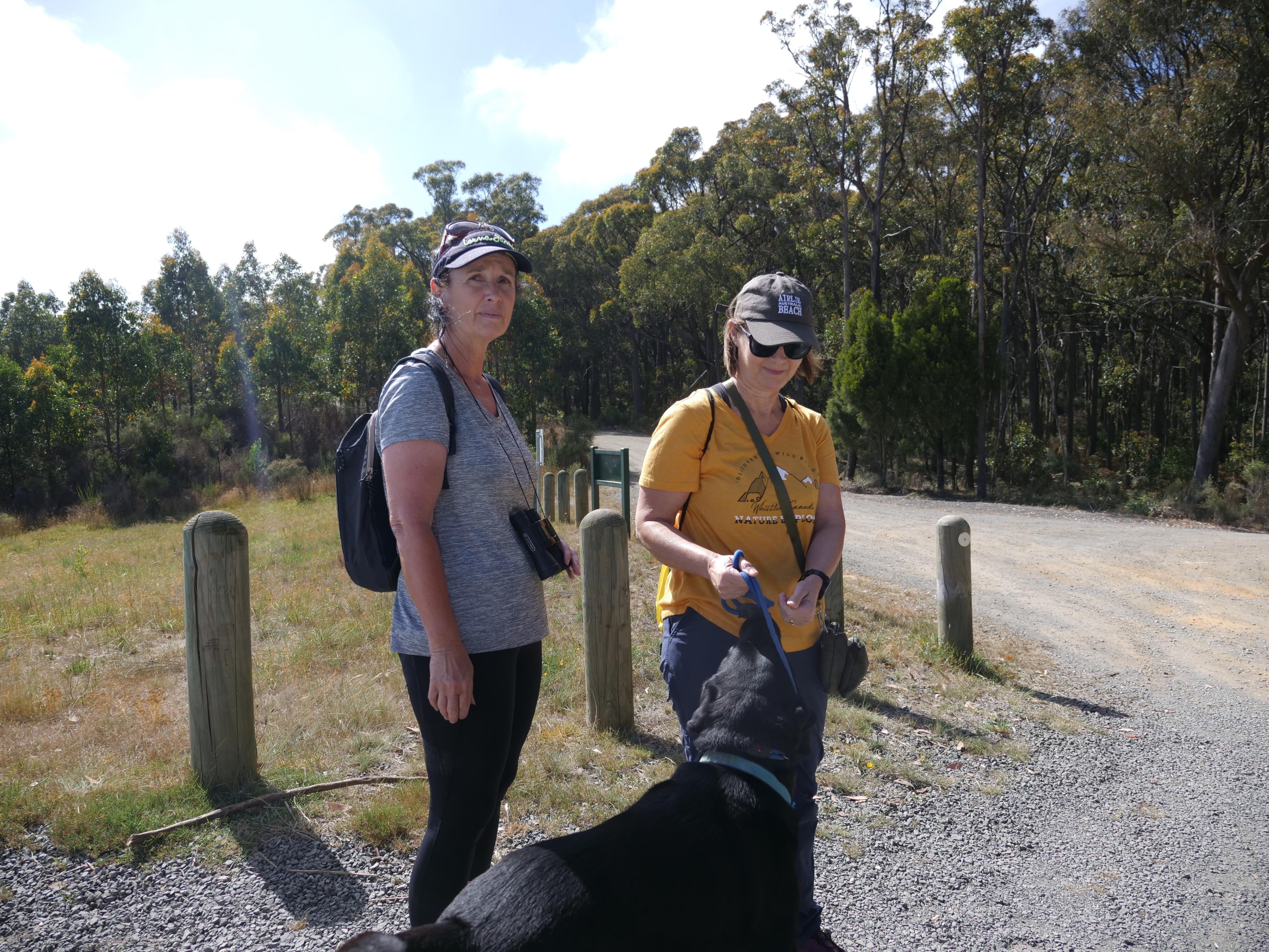 two women and their dog are searching in dense bushland