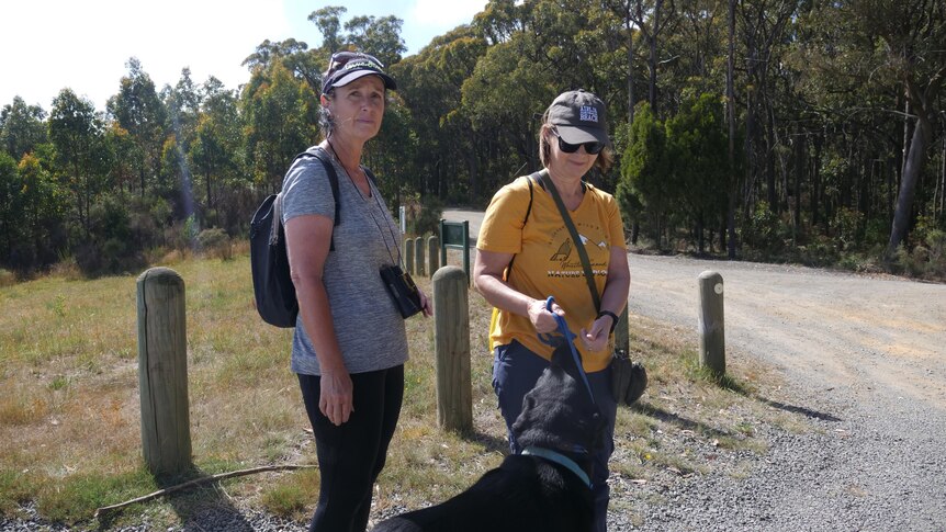 two women and their dog are searching in dense bushland